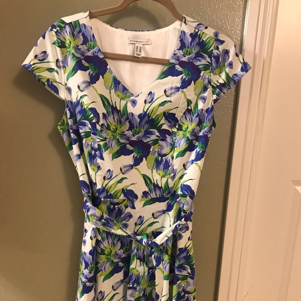 Isaac Mizrahi Fit Flare Dress Size 10